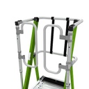 [IP-197-CAGE] Little Giant Safety Cage 2.0