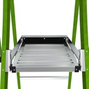 [IP-197-CAGE] Little Giant Safety Cage 2.0