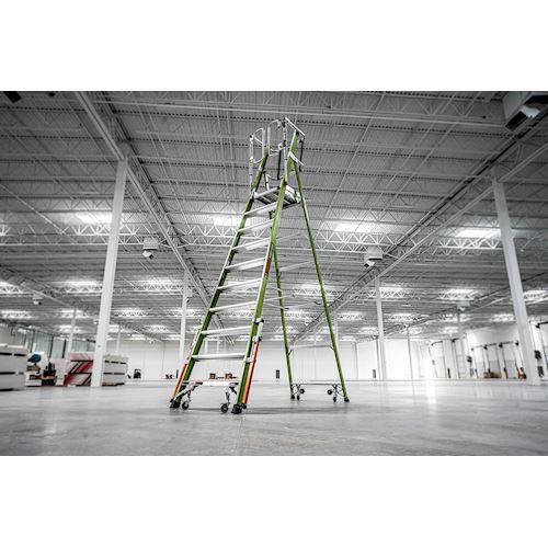 [IP-197-CAGE] Little Giant Safety Cage 2.0