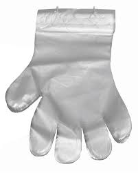 Clear Poly Gloves on Wicket
