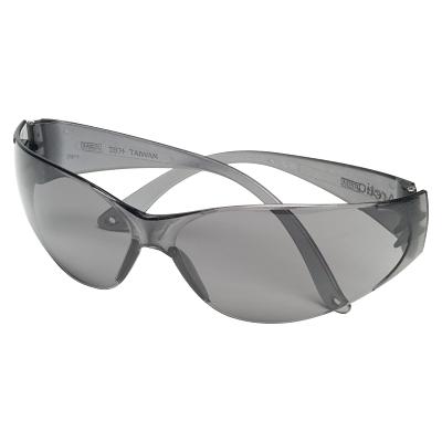 MSA Arctic Protective Eyewear 697515