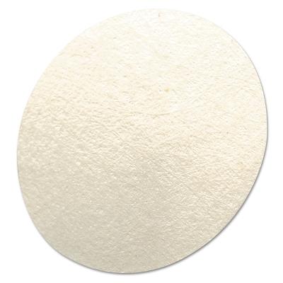 MSA Hydrophobic Filter