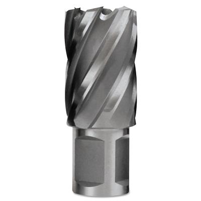 Evolution Cyclone HSS Premium Grade Annular Cutters CC100L