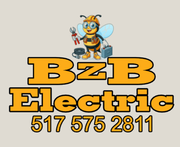 Embroidery-BzB Electric-F/B