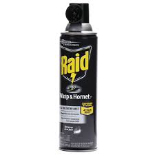 Raid® Wasp & Hornet Killer, 14 oz. Aerosol Spray
